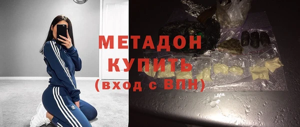 сатива Белокуриха