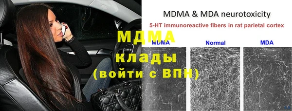 сатива Белокуриха