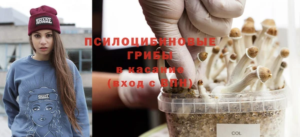 ECSTASY Белоозёрский