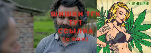 сатива Белокуриха
